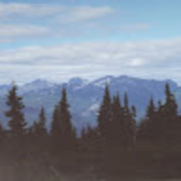 Meet your Posher, Victoria - Picture 1 of 1